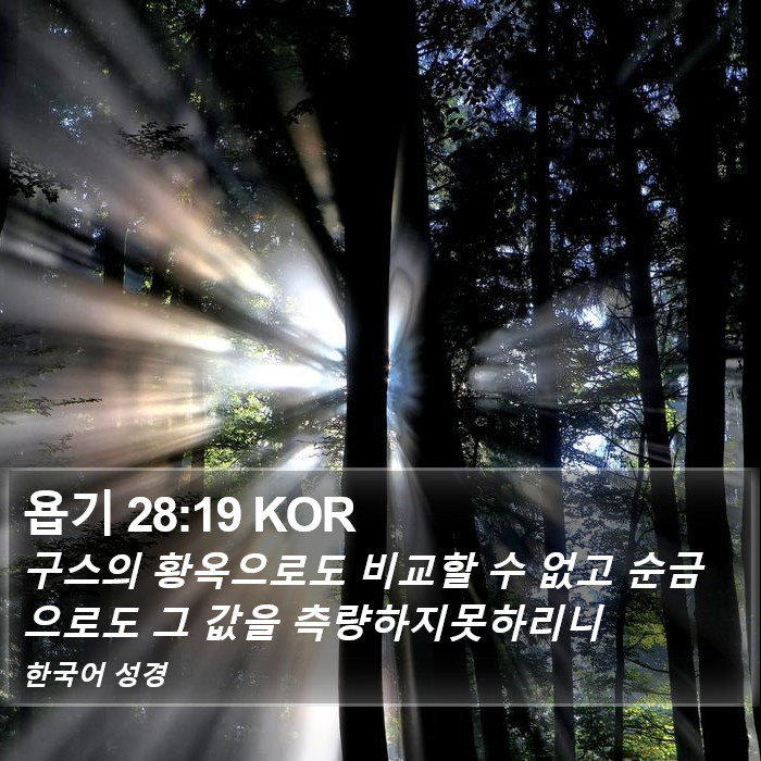 욥기 28:19 KOR Bible Study