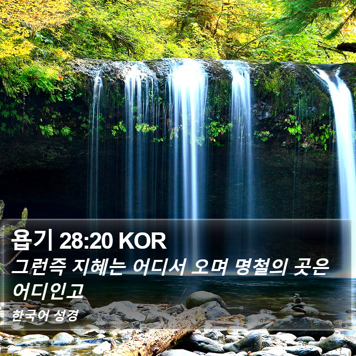 욥기 28:20 KOR Bible Study