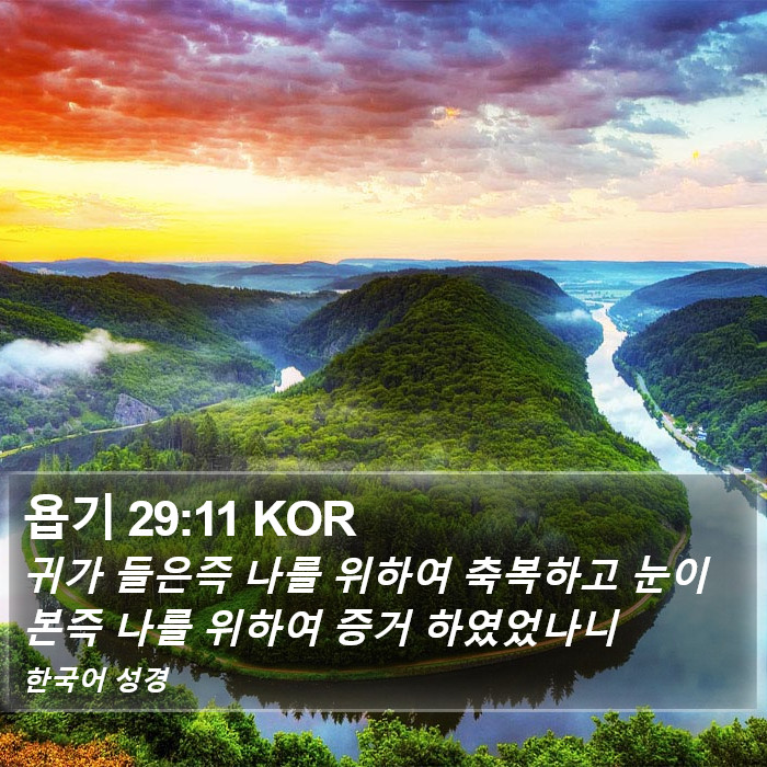 욥기 29:11 KOR Bible Study