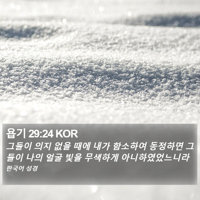 욥기 29:24 KOR Bible Study