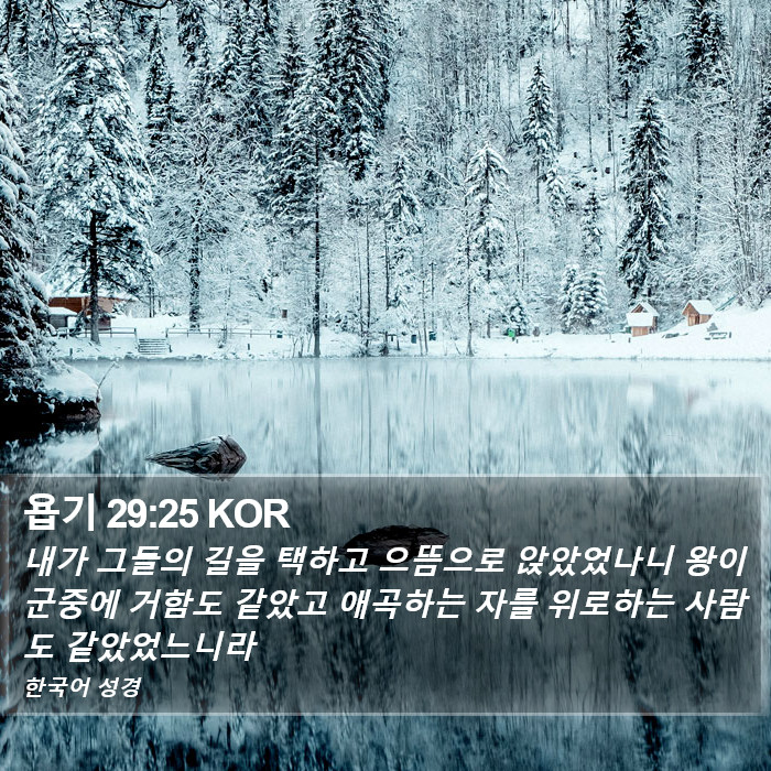 욥기 29:25 KOR Bible Study