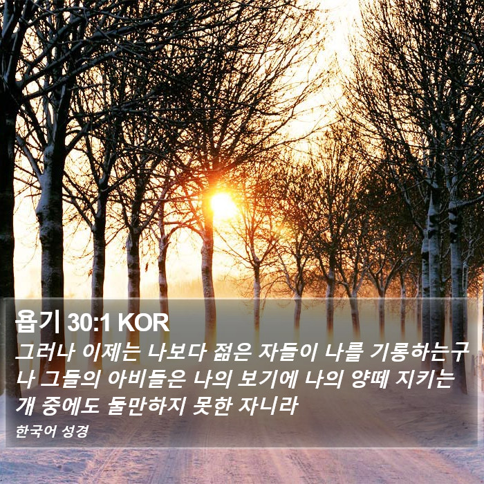 욥기 30:1 KOR Bible Study