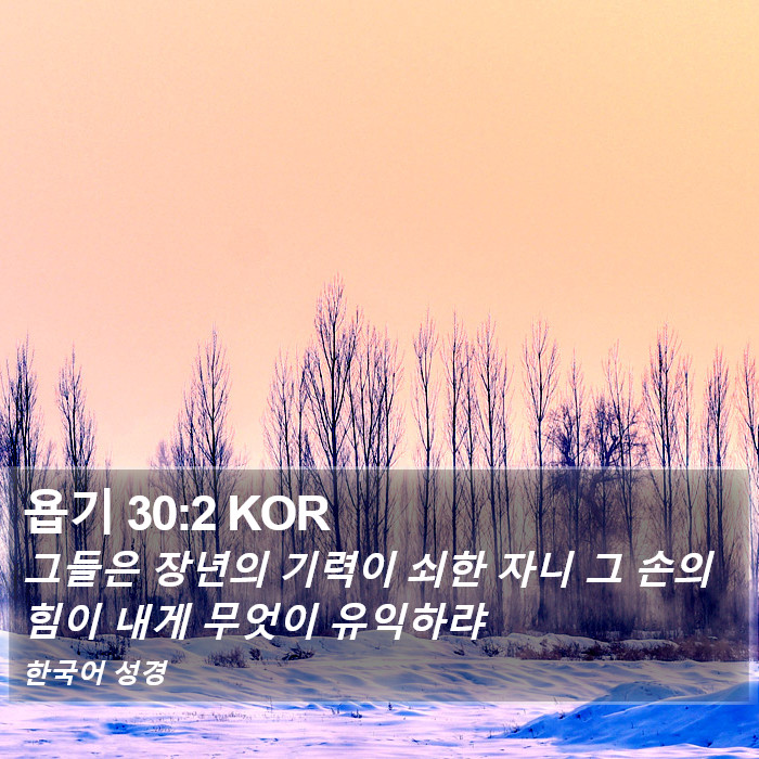 욥기 30:2 KOR Bible Study