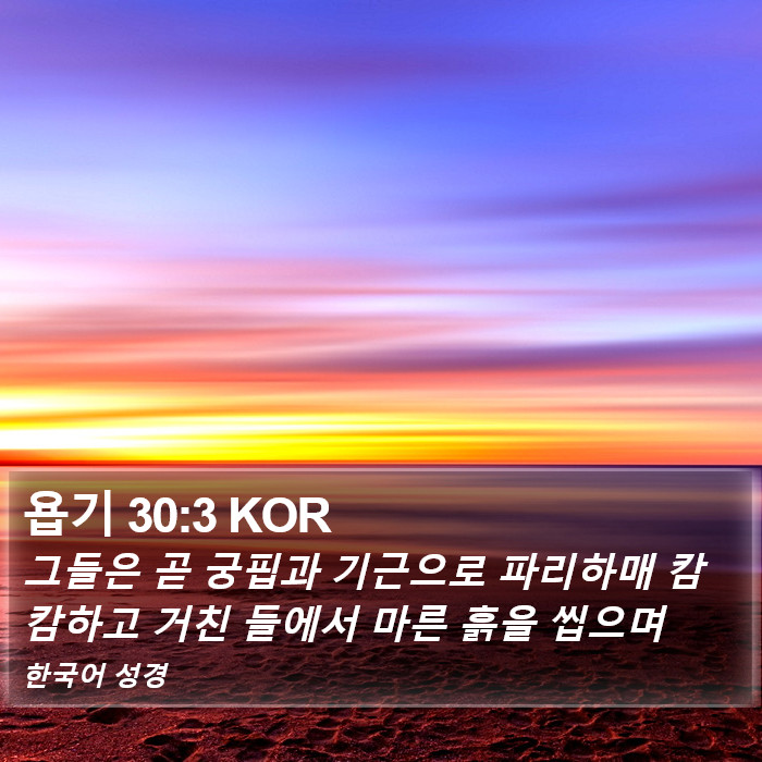 욥기 30:3 KOR Bible Study