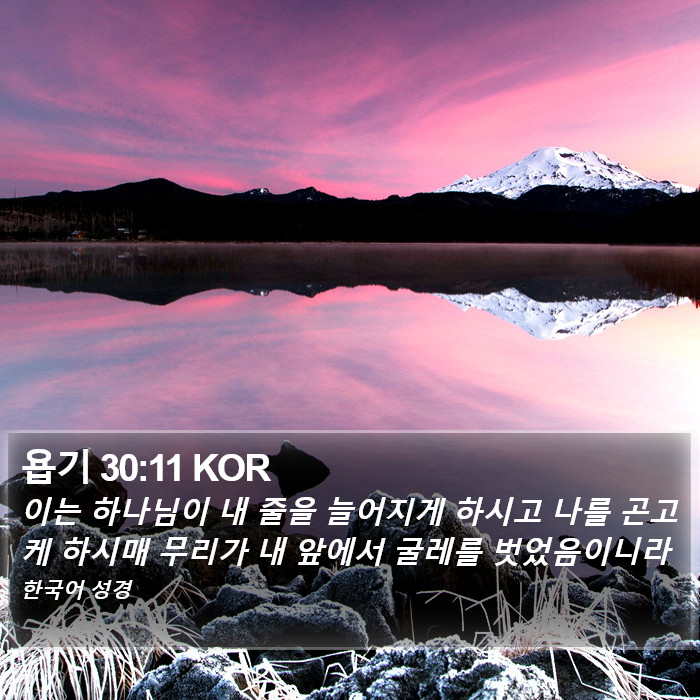 욥기 30:11 KOR Bible Study