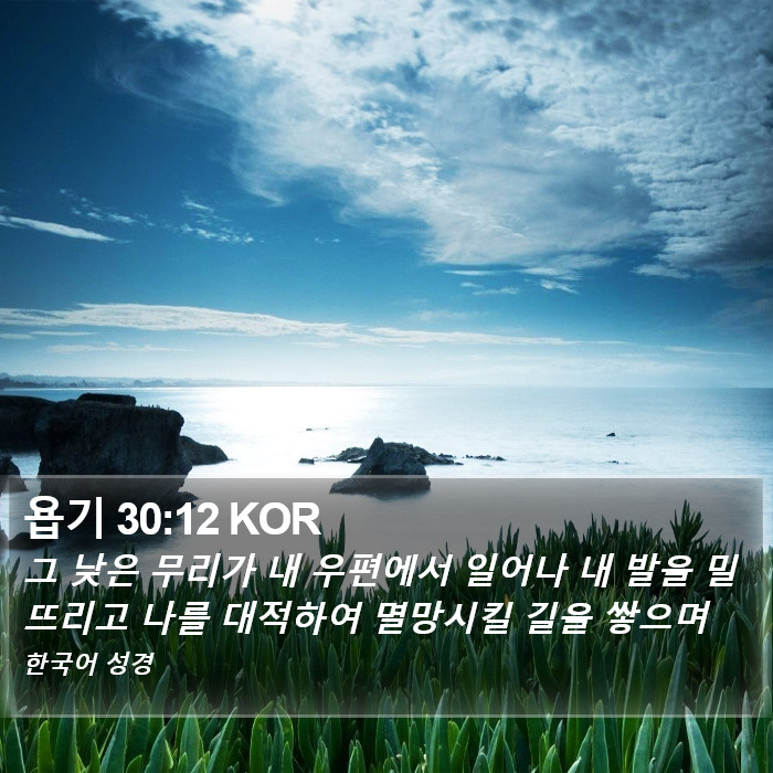 욥기 30:12 KOR Bible Study