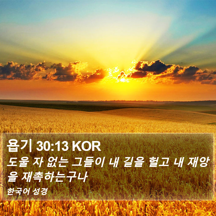 욥기 30:13 KOR Bible Study