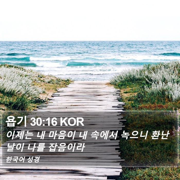 욥기 30:16 KOR Bible Study