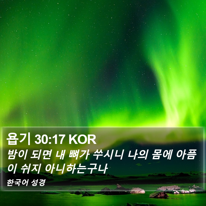 욥기 30:17 KOR Bible Study