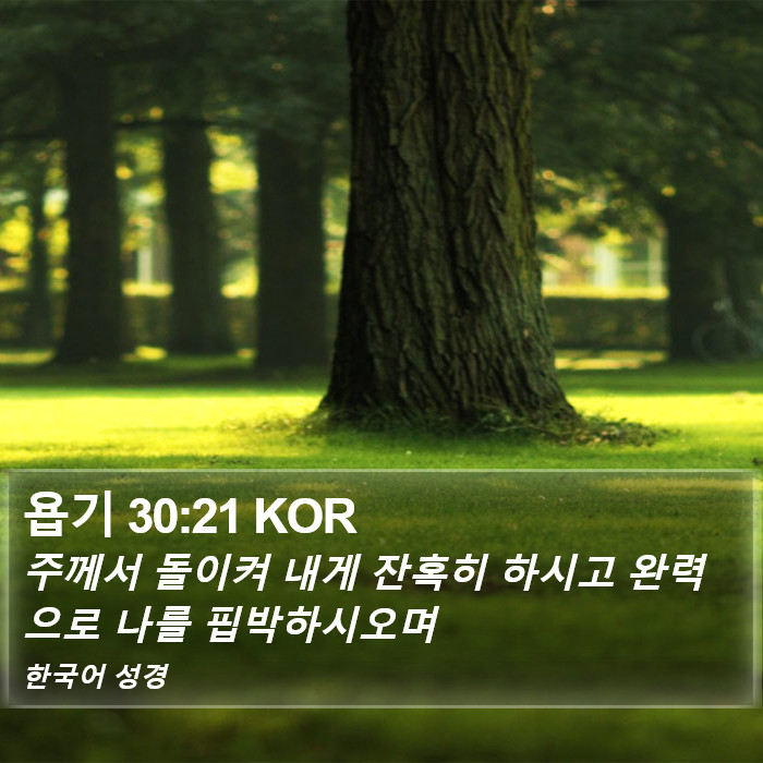 욥기 30:21 KOR Bible Study