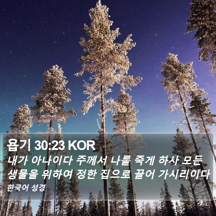 욥기 30:23 KOR Bible Study