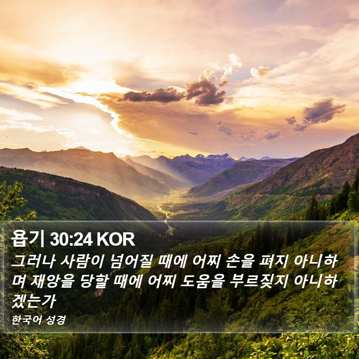 욥기 30:24 KOR Bible Study