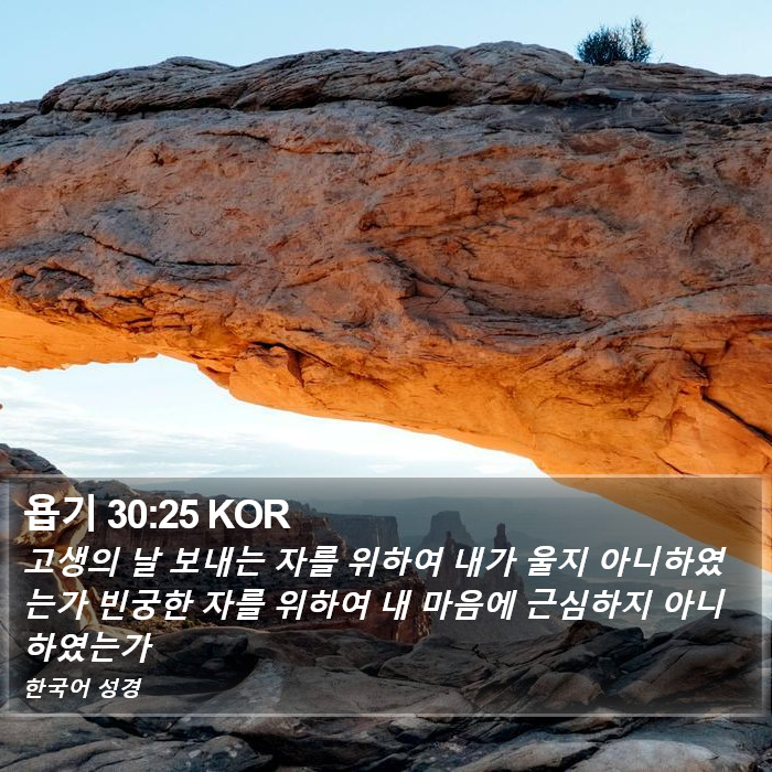 욥기 30:25 KOR Bible Study