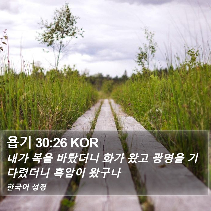 욥기 30:26 KOR Bible Study