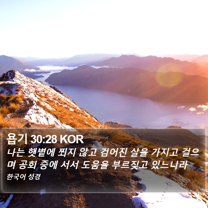 욥기 30:28 KOR Bible Study