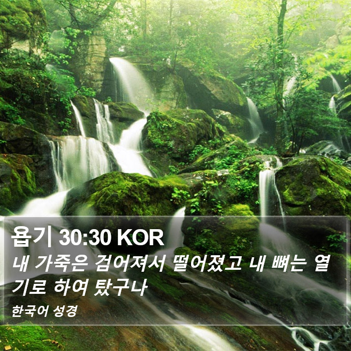 욥기 30:30 KOR Bible Study