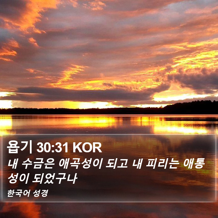 욥기 30:31 KOR Bible Study