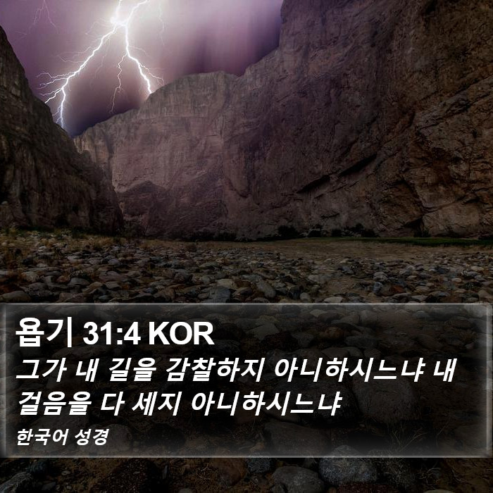 욥기 31:4 KOR Bible Study