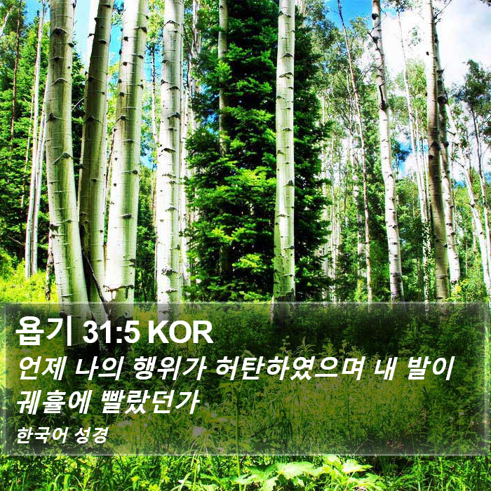 욥기 31:5 KOR Bible Study