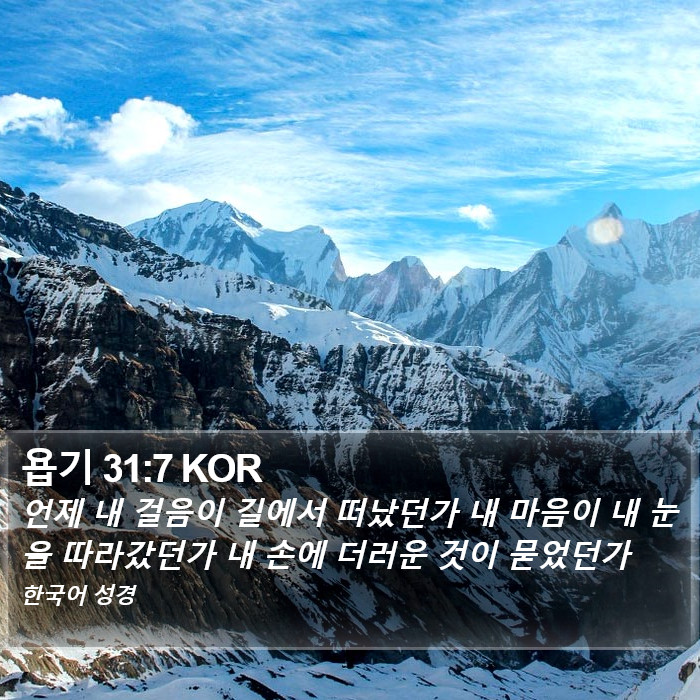 욥기 31:7 KOR Bible Study