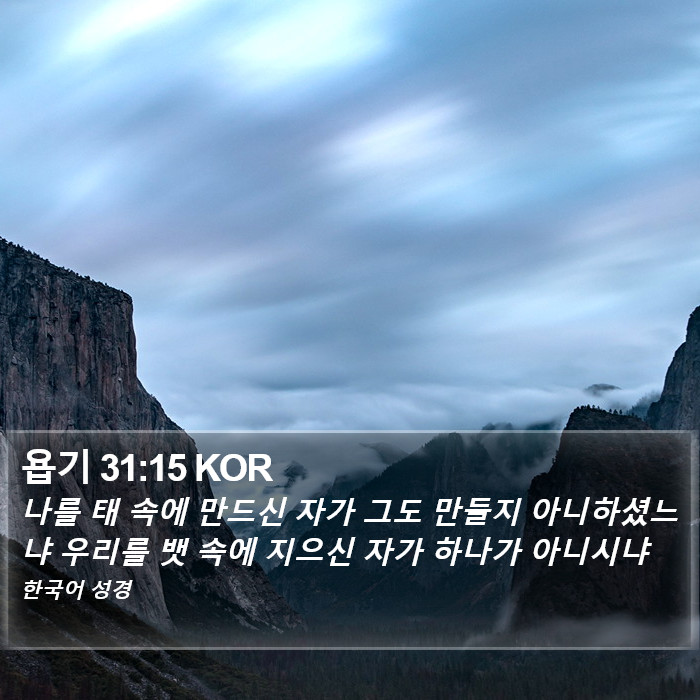 욥기 31:15 KOR Bible Study