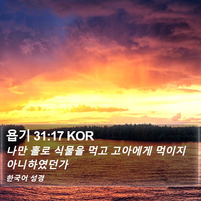 욥기 31:17 KOR Bible Study