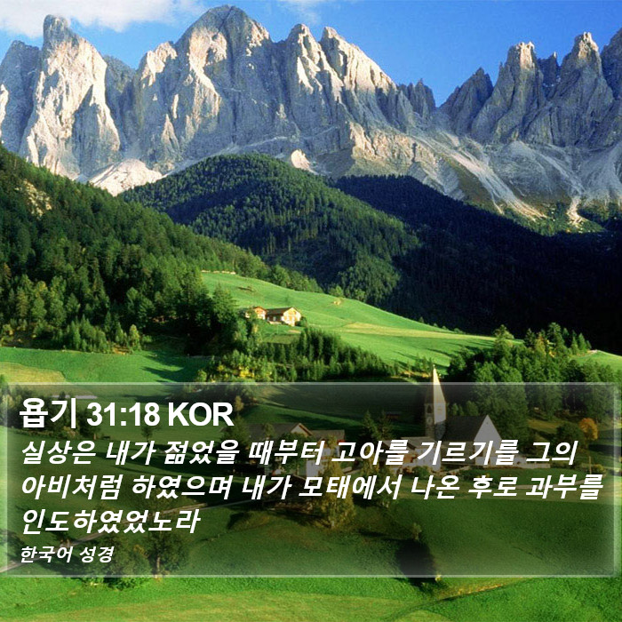 욥기 31:18 KOR Bible Study