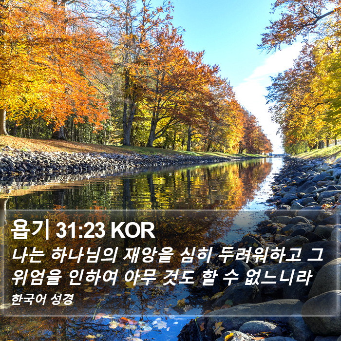 욥기 31:23 KOR Bible Study