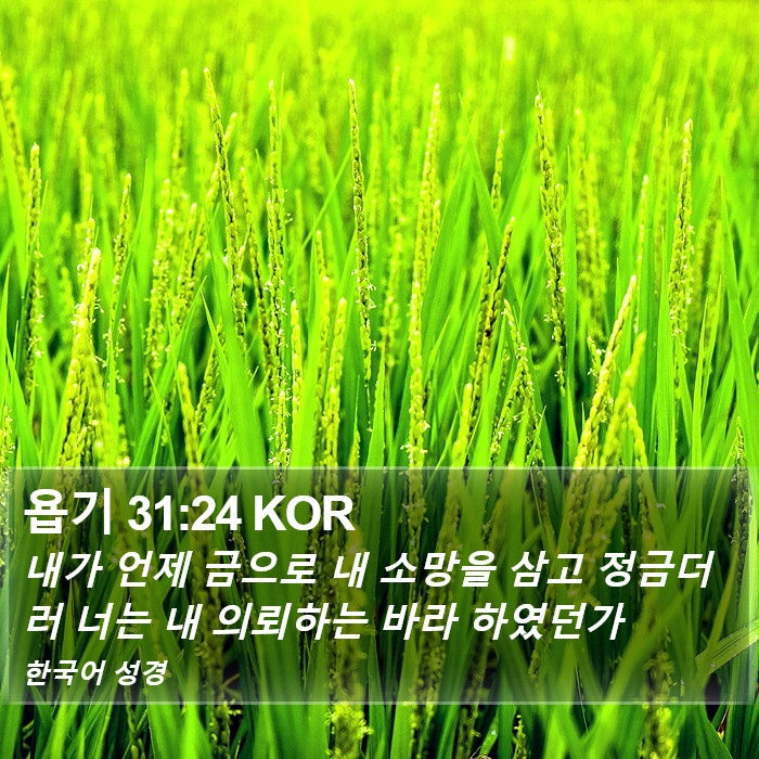 욥기 31:24 KOR Bible Study