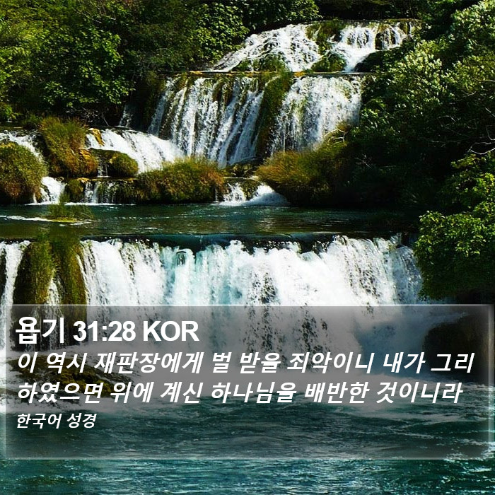 욥기 31:28 KOR Bible Study