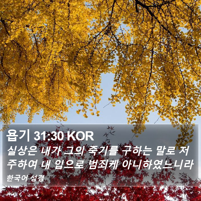 욥기 31:30 KOR Bible Study