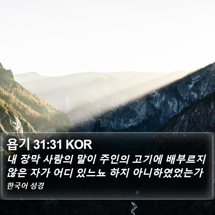 욥기 31:31 KOR Bible Study