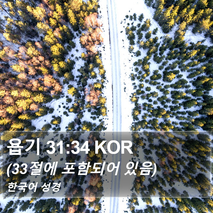 욥기 31:34 KOR Bible Study