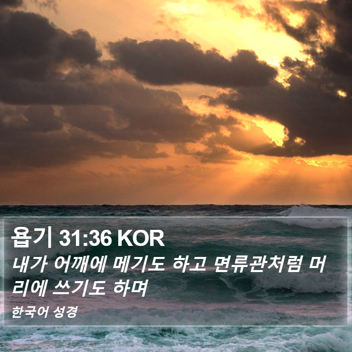 욥기 31:36 KOR Bible Study