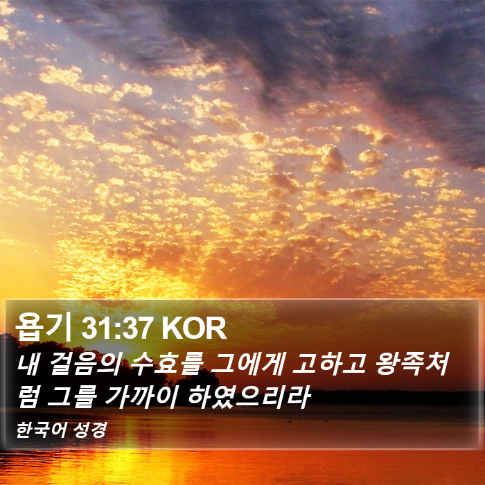 욥기 31:37 KOR Bible Study