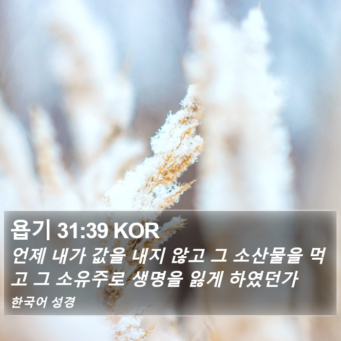 욥기 31:39 KOR Bible Study