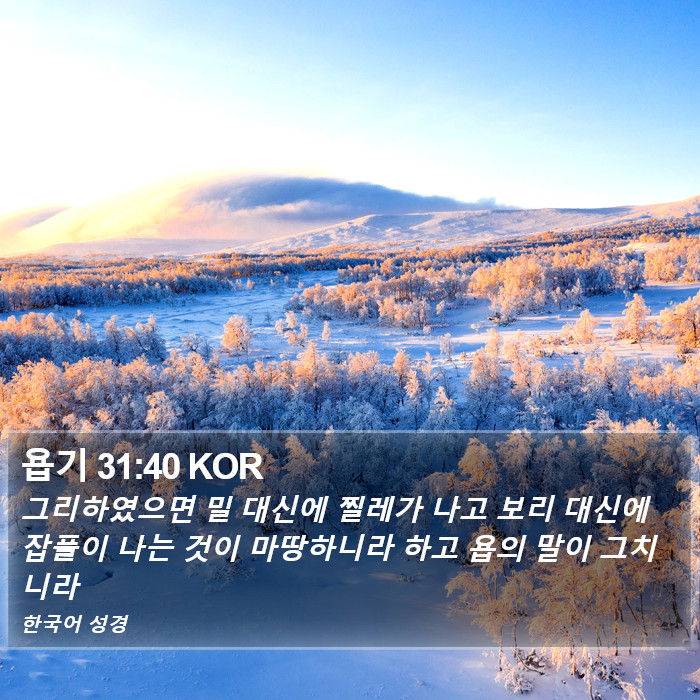 욥기 31:40 KOR Bible Study