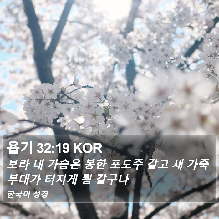 욥기 32:19 KOR Bible Study