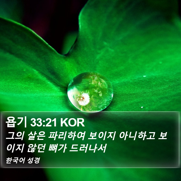 욥기 33:21 KOR Bible Study