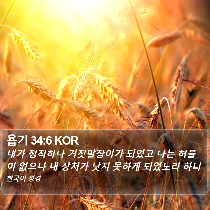 욥기 34:6 KOR Bible Study