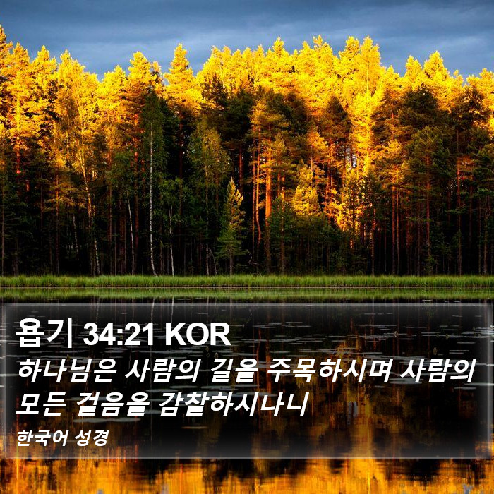 욥기 34:21 KOR Bible Study