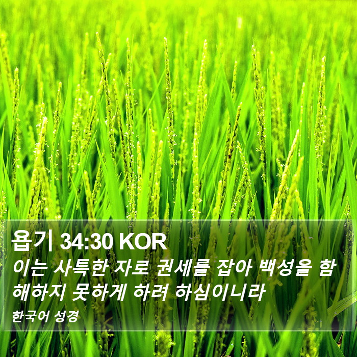 욥기 34:30 KOR Bible Study