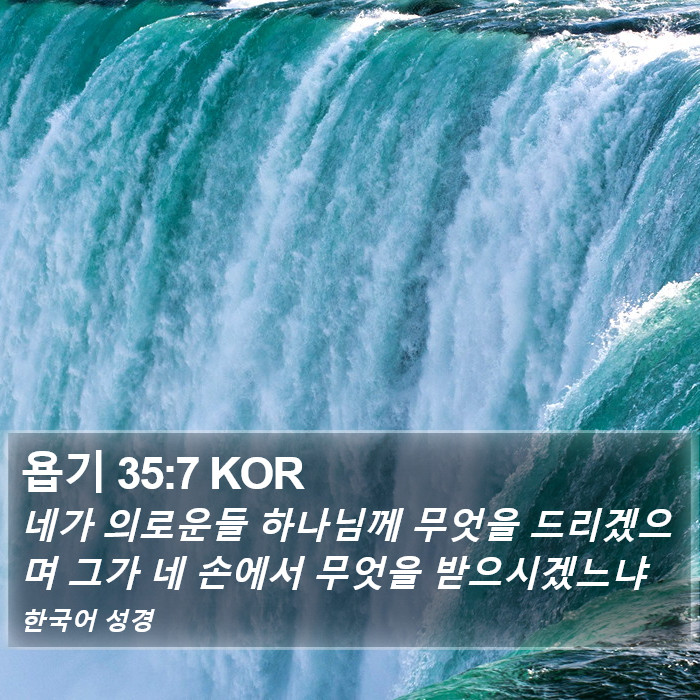 욥기 35:7 KOR Bible Study