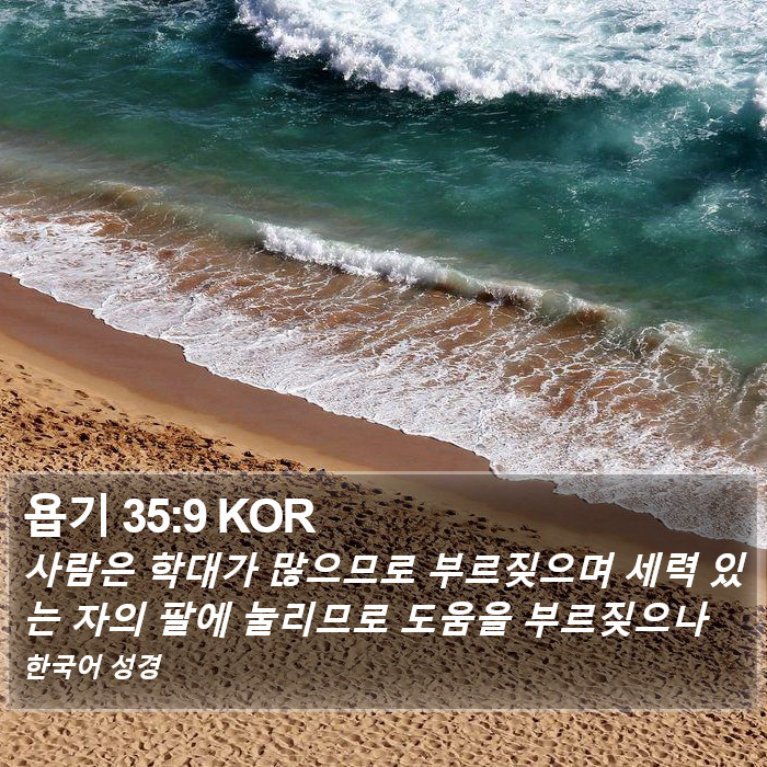 욥기 35:9 KOR Bible Study