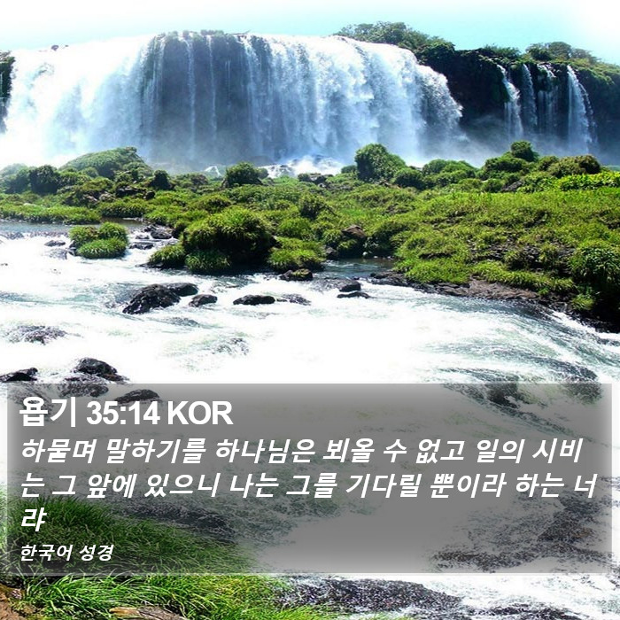 욥기 35:14 KOR Bible Study