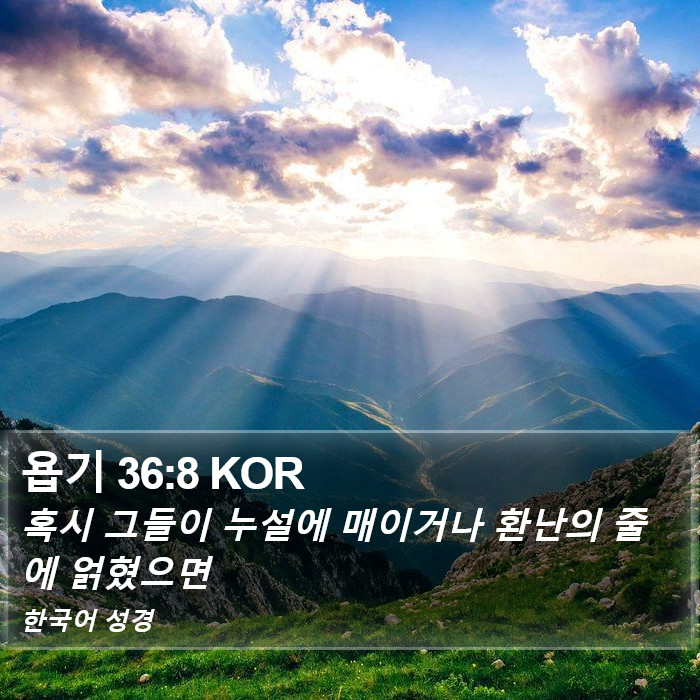 욥기 36:8 KOR Bible Study