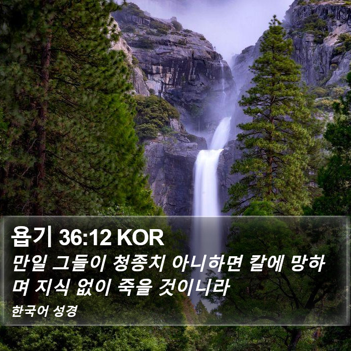 욥기 36:12 KOR Bible Study