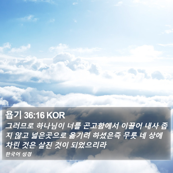 욥기 36:16 KOR Bible Study