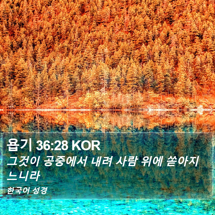 욥기 36:28 KOR Bible Study