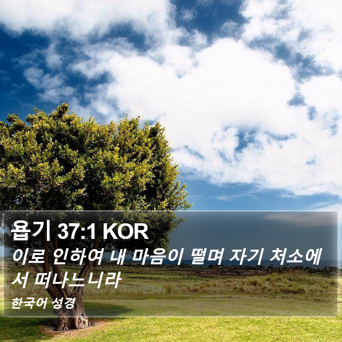 욥기 37:1 KOR Bible Study